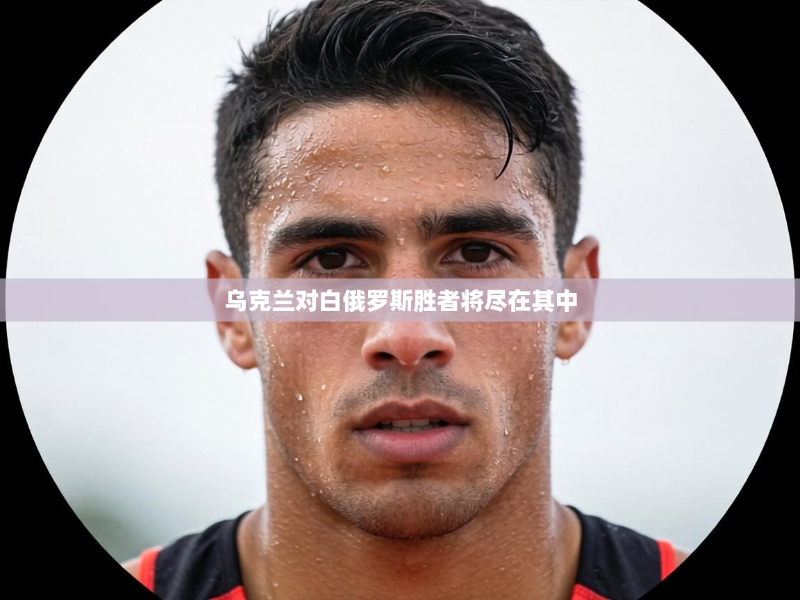 乌克兰对白俄罗斯胜者将尽在其中 第2张